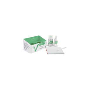 Xi măng gắn Glass Ionomer Luting l