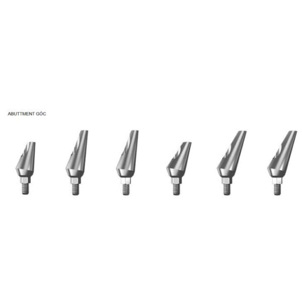 Ditron Abutment