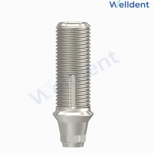 Welldent - Abutment