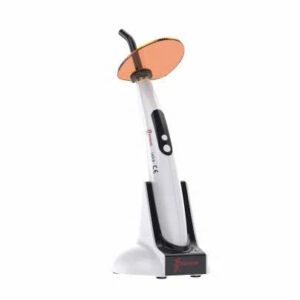 đèn led b - woodpecker